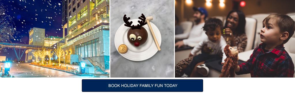 Holiday Family Fun Package